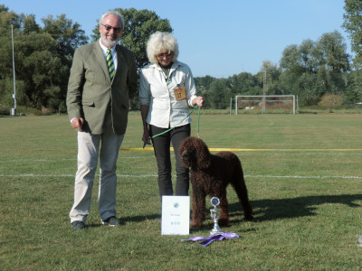 © Jagdspaniel Klub LG Hessen