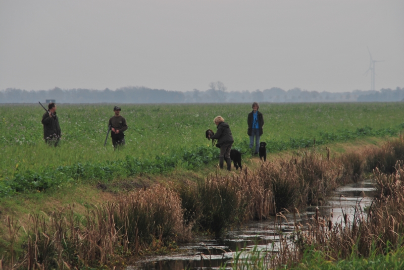 in de hand afgegeven