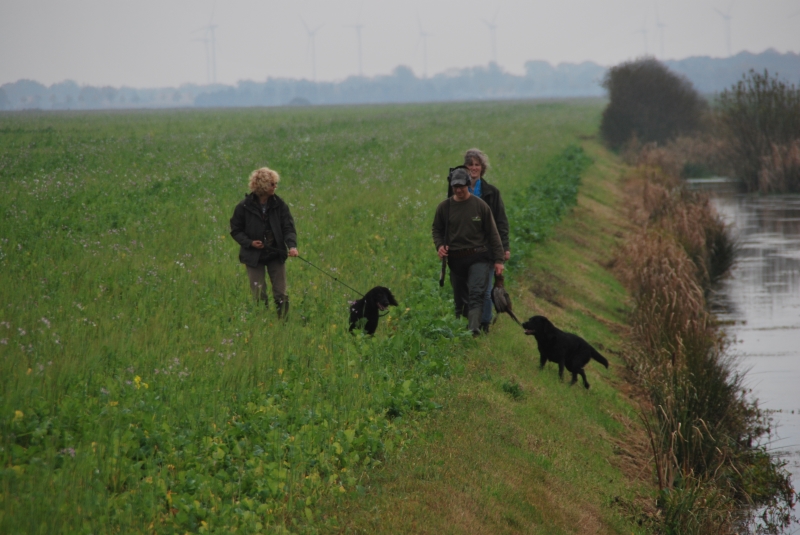 op de terugweg